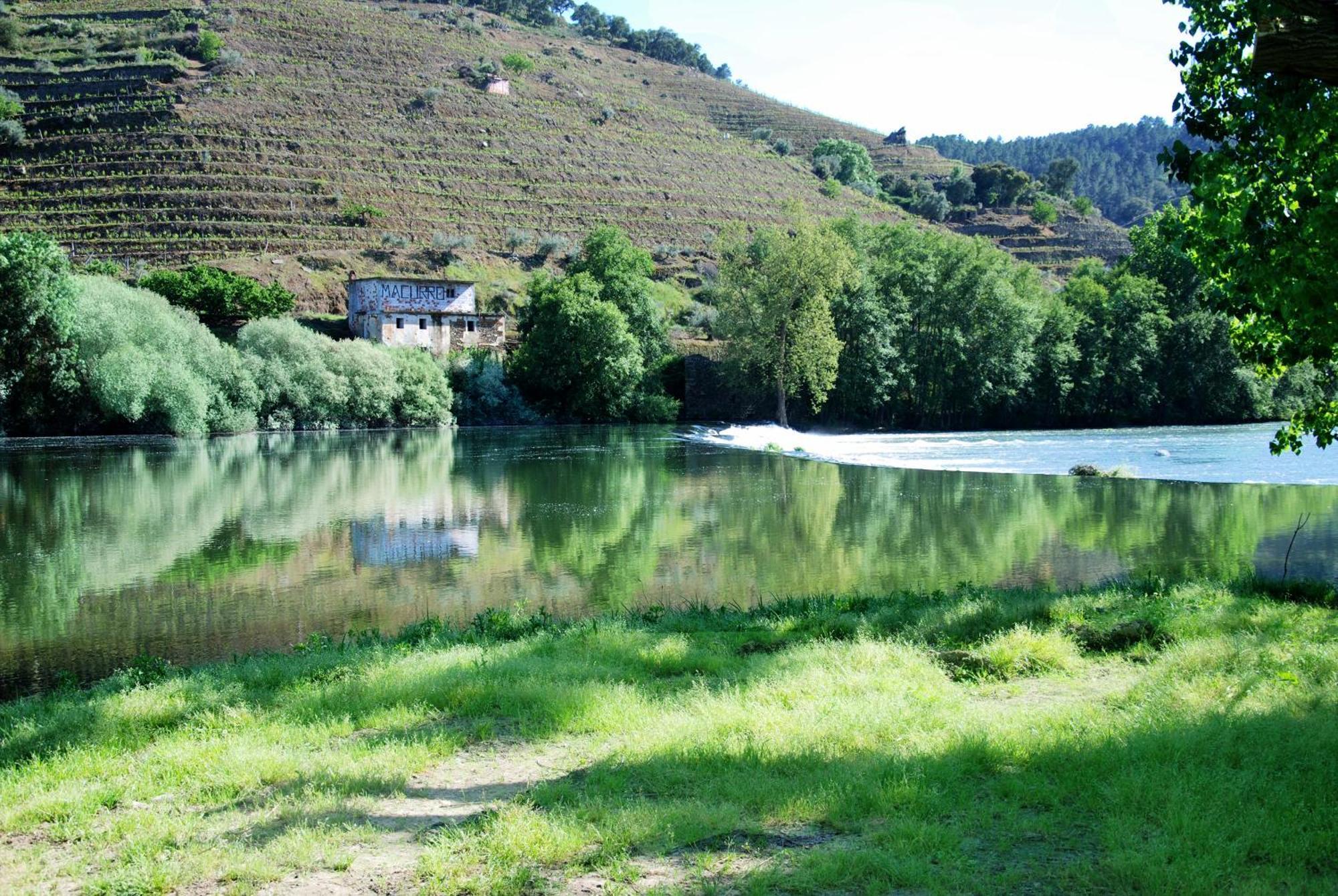 Villa Casa Oliveiras Do Douro Sobreira Esterno foto