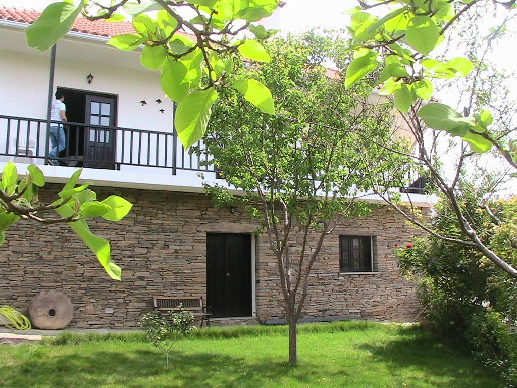 Villa Casa Oliveiras Do Douro Sobreira Esterno foto