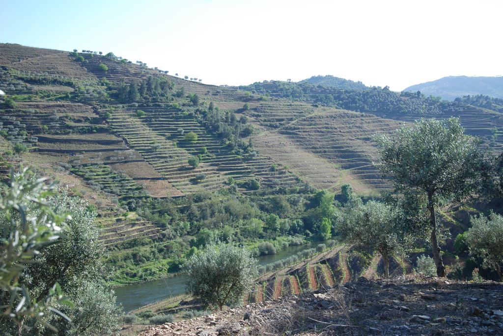Villa Casa Oliveiras Do Douro Sobreira Esterno foto