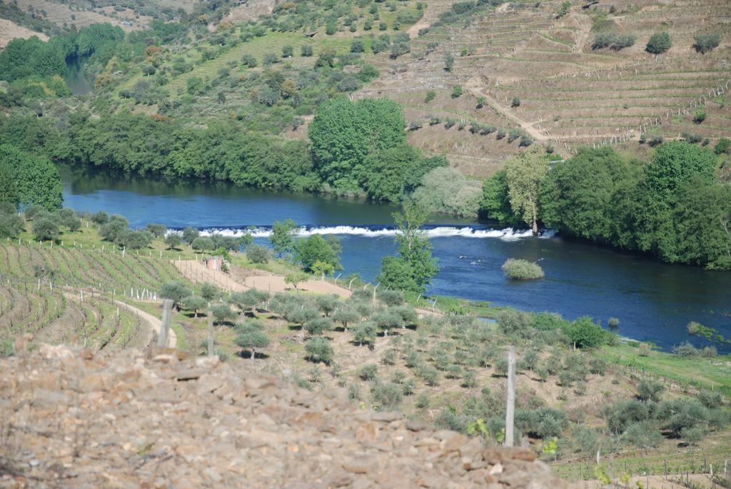 Villa Casa Oliveiras Do Douro Sobreira Esterno foto